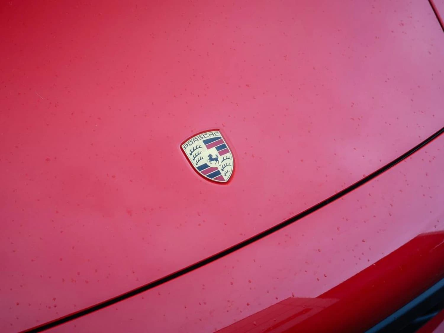 Porsche 911 T 992 Carrera 4 PDK - фото 5