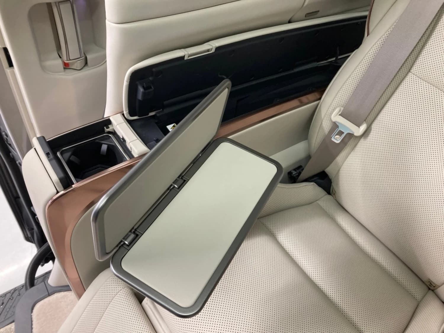 Lexus LM 500h - фото 19