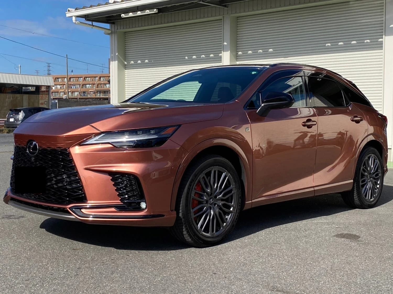 Lexus RX 500h F Sport+ - фото 6