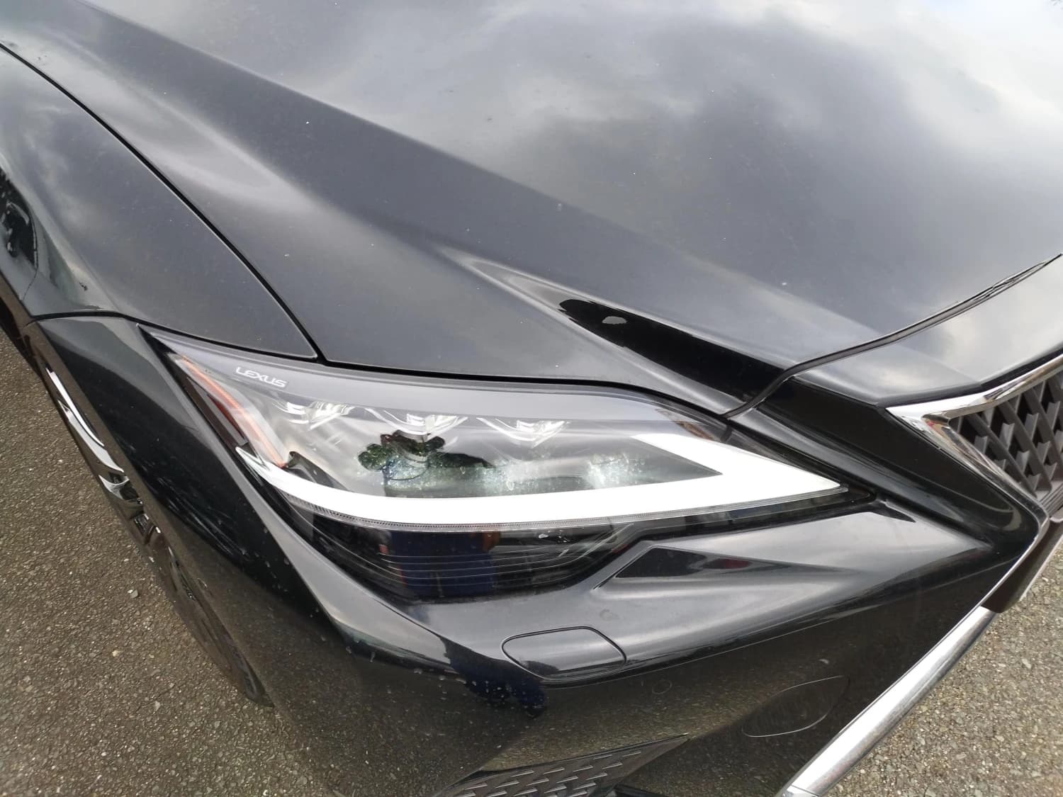 Lexus LS 500h Executive - фото 32