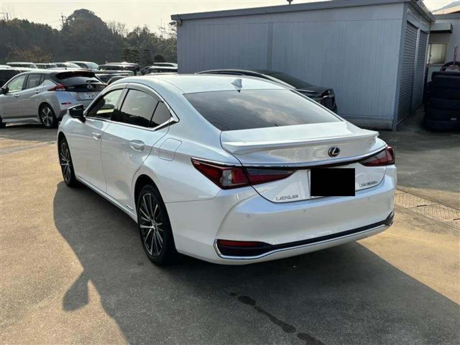 Lexus ES 300h - фото 6