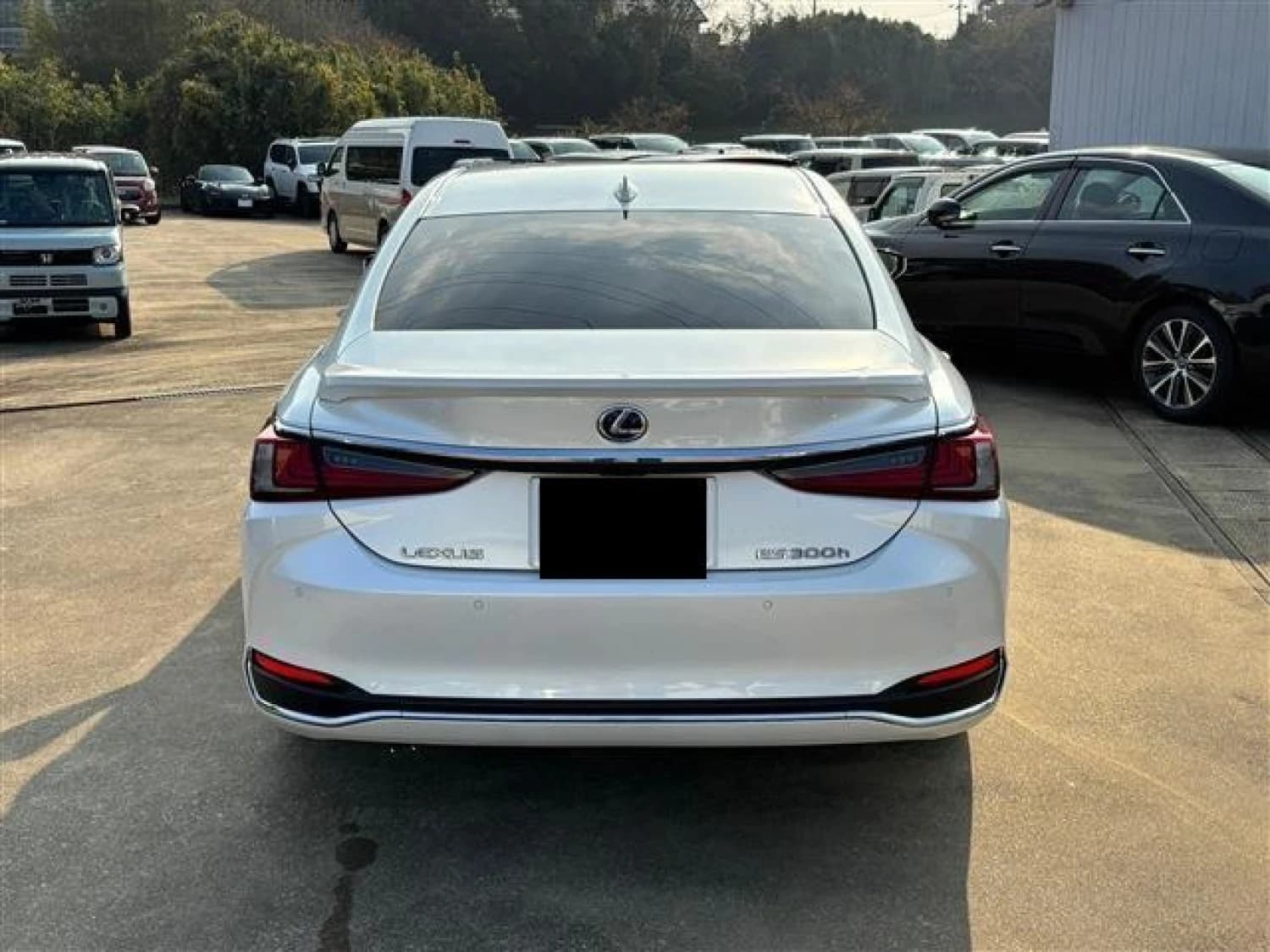 Lexus ES 300h - фото 7