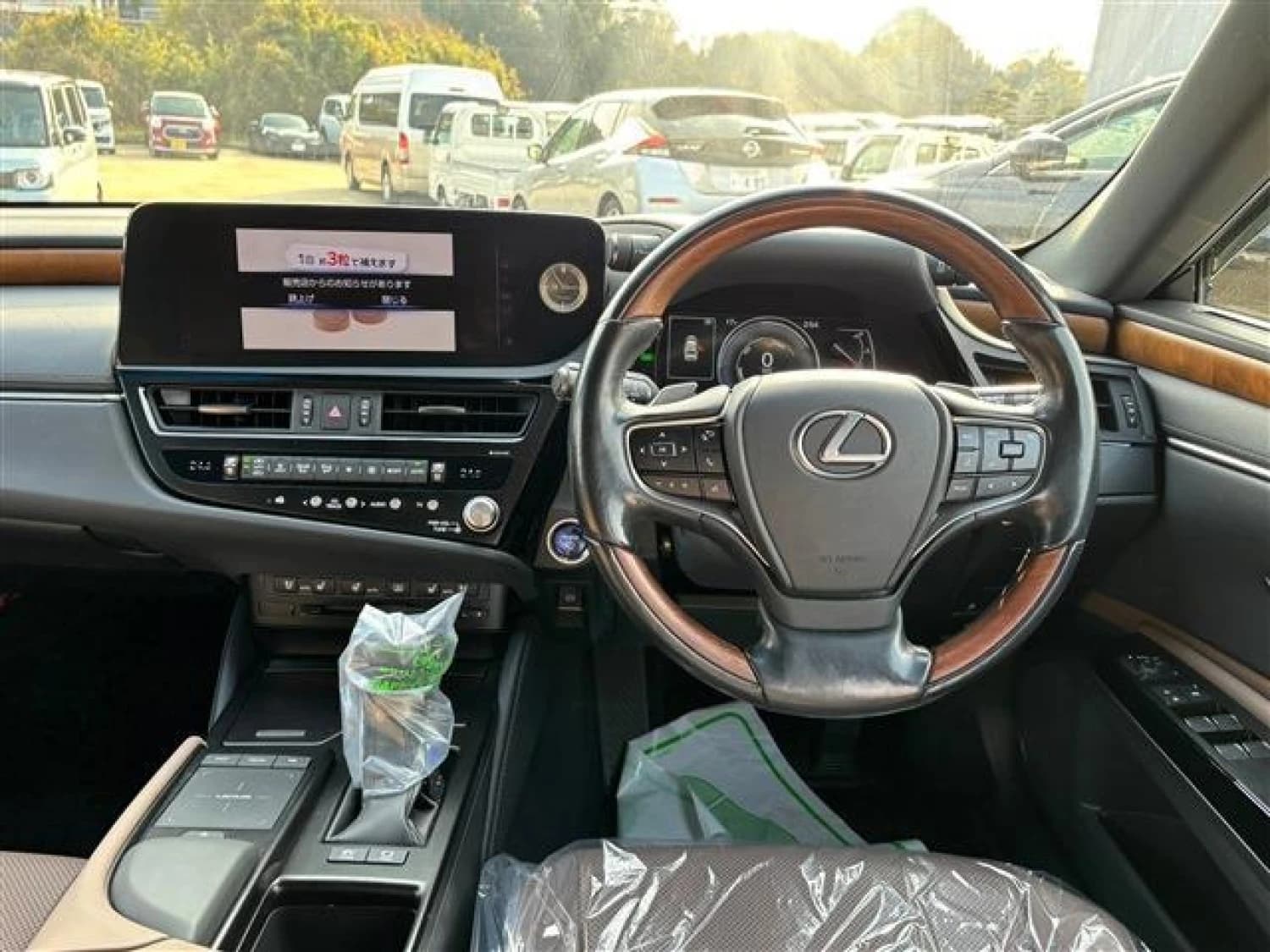 Lexus ES 300h - фото 10