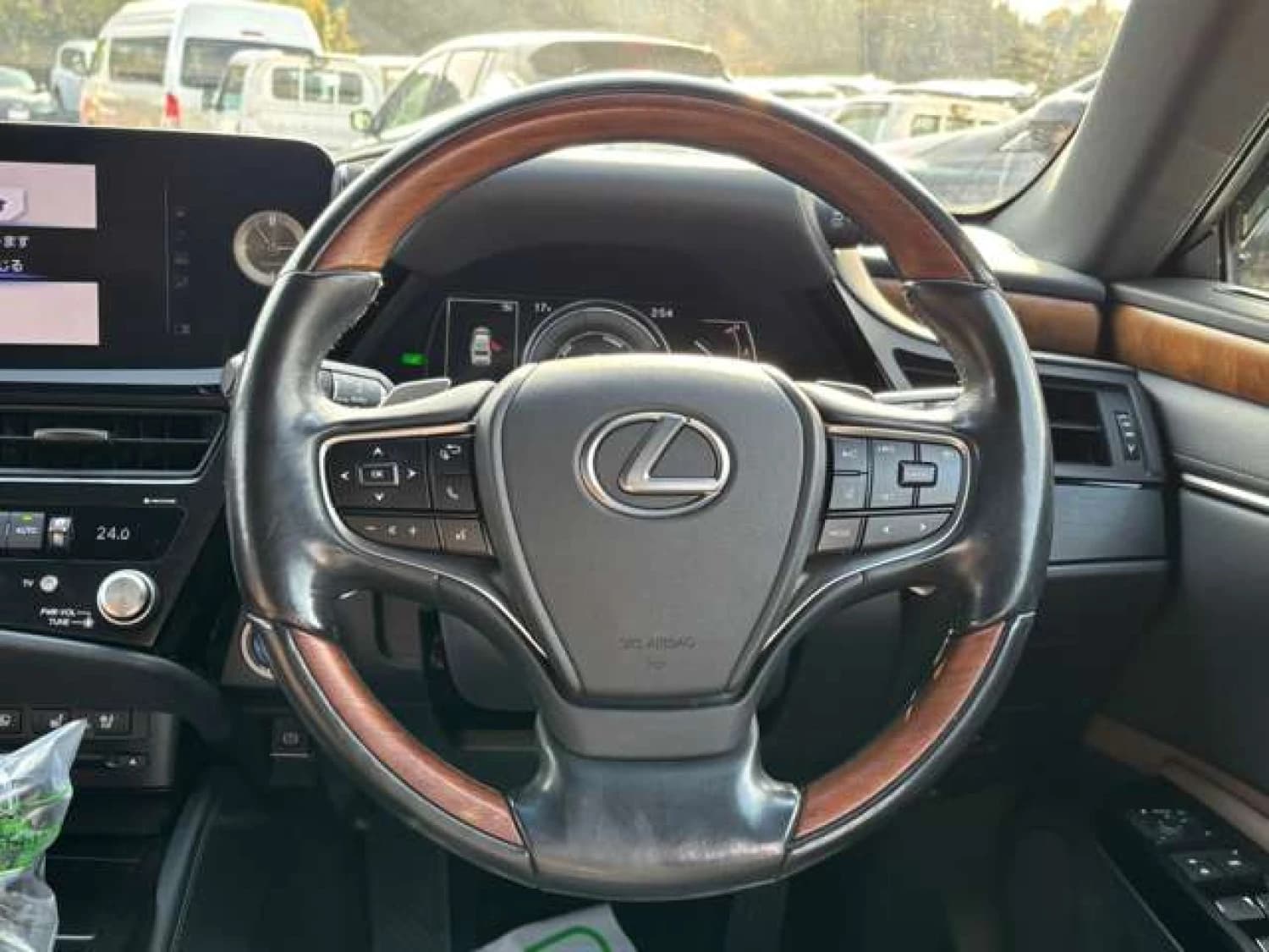 Lexus ES 300h - фото 11