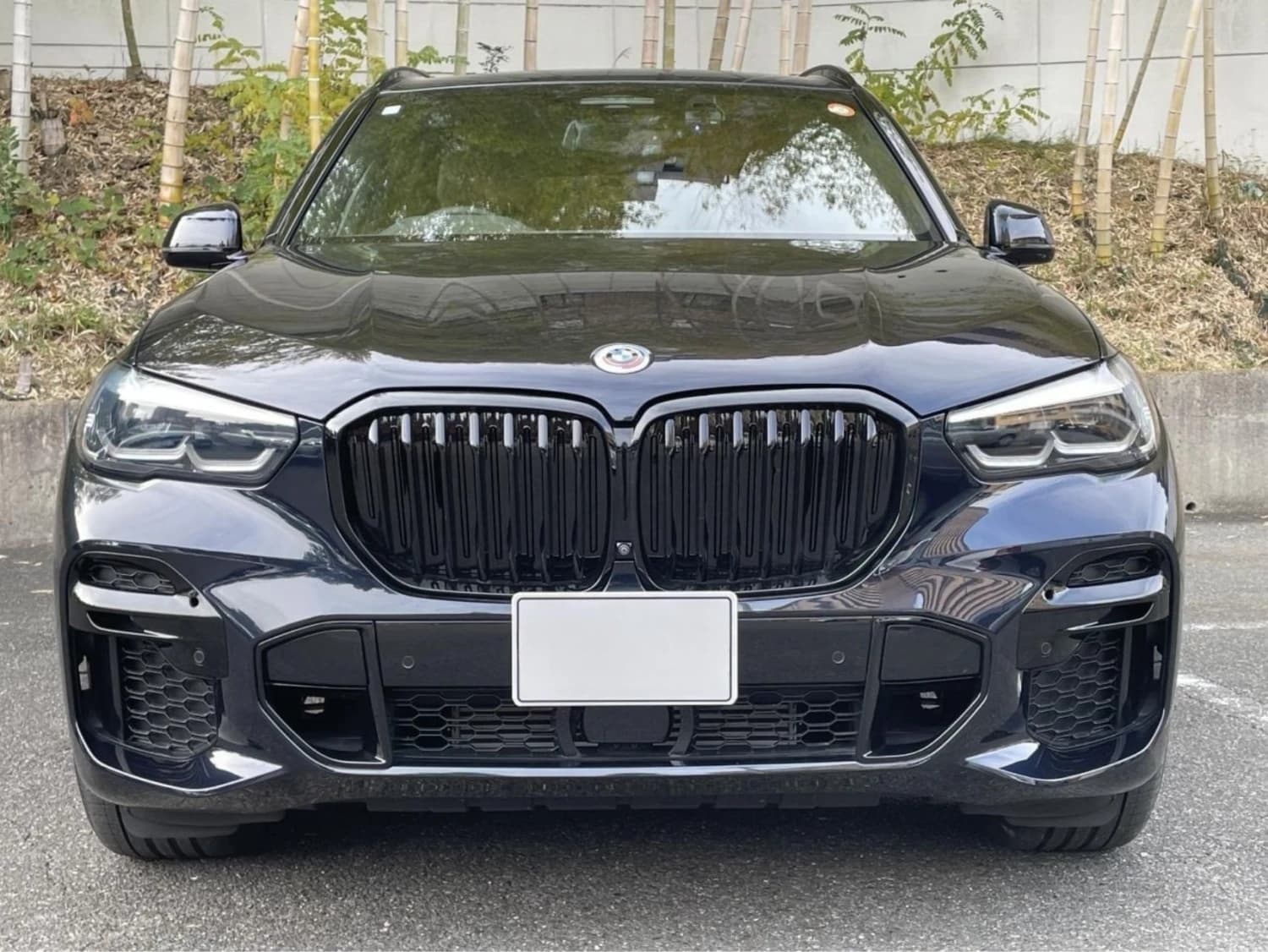BMW X5 xDrive 40d M Sport (7 seater) - фото 10