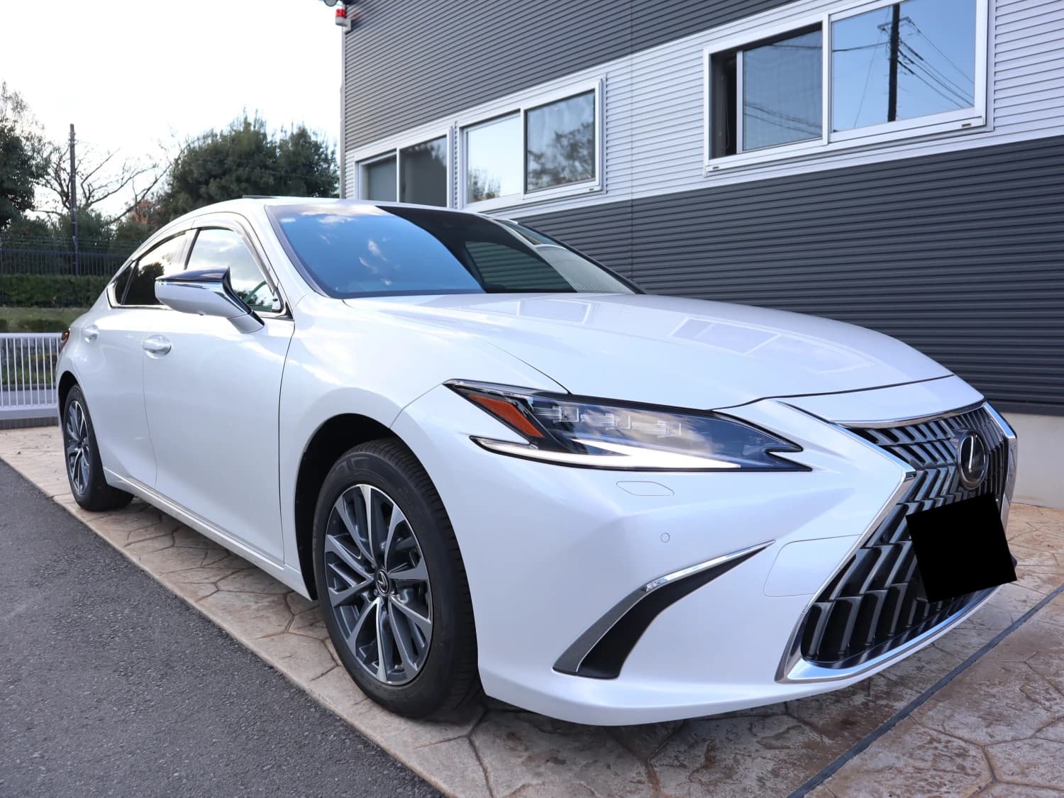 Lexus ES ES300h