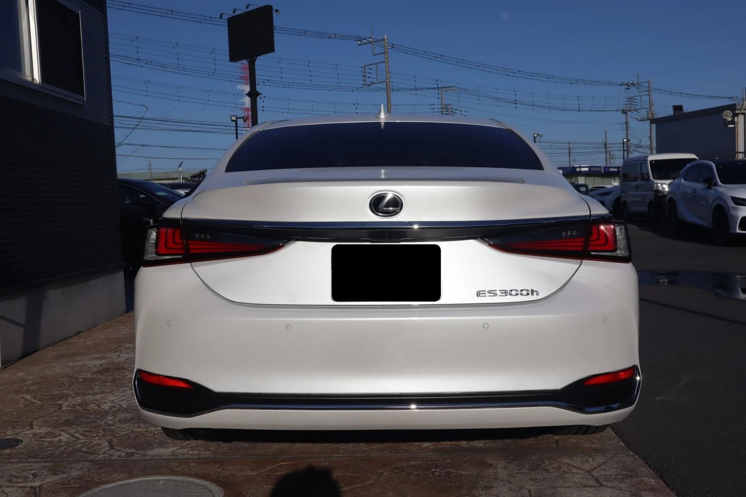 Lexus ES ES300h Graceful Escort - фото 8