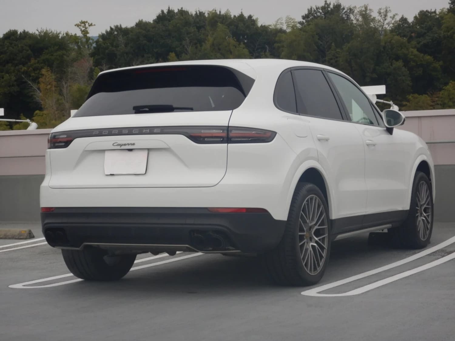 Porsche Cayenne Platinum Edition Tiptronic S - фото 10