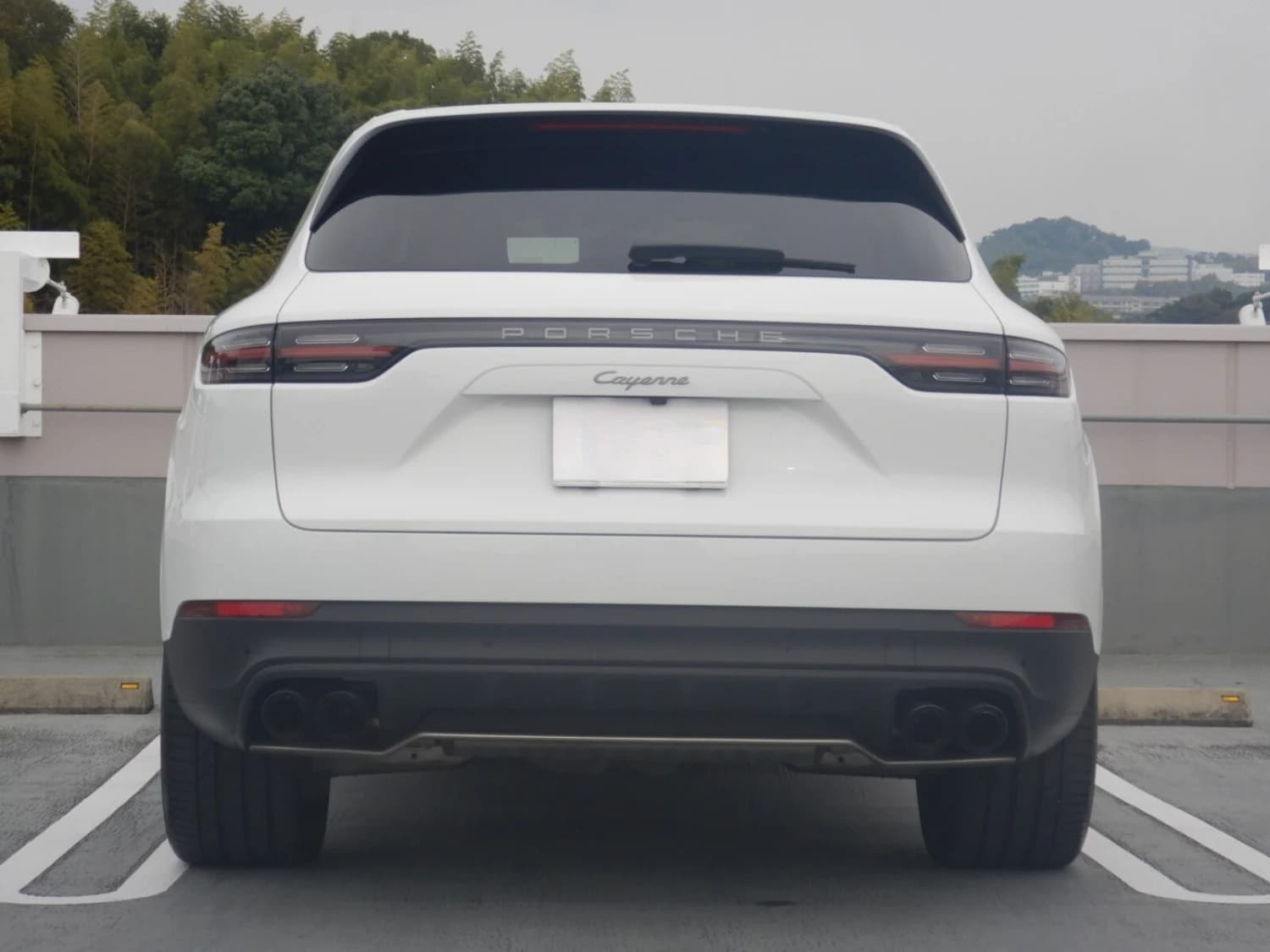 Porsche Cayenne Platinum Edition Tiptronic S - фото 11