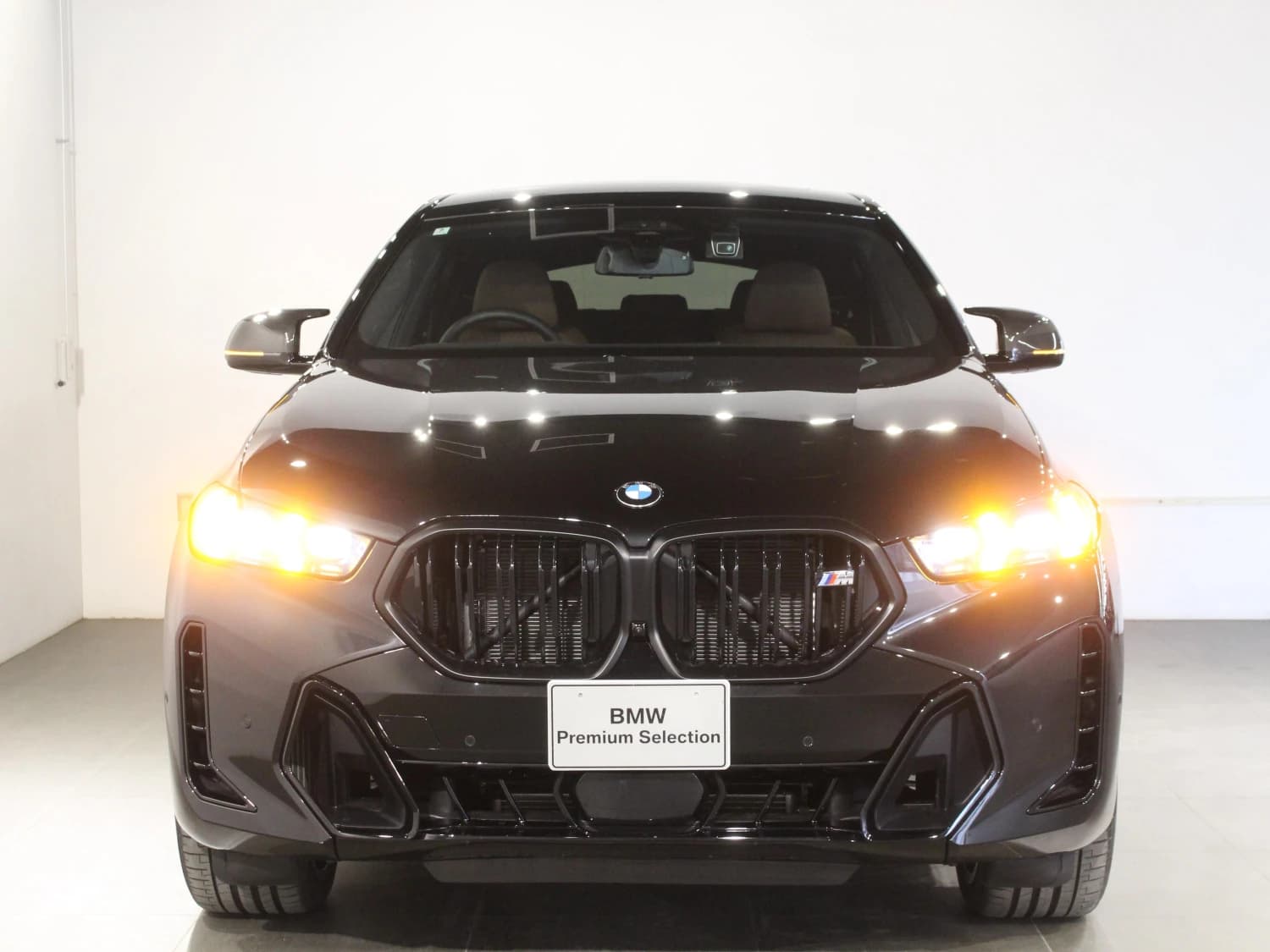 BMW X6 M60i xDrive - фото 6