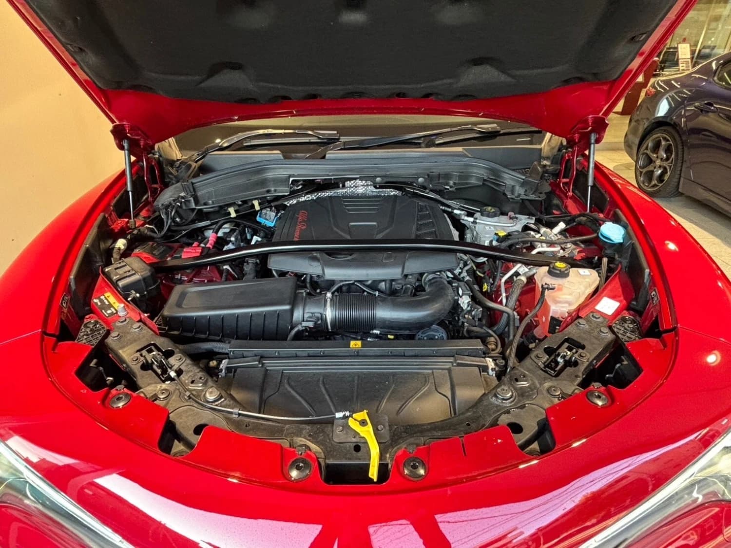 Alfa Romeo Stelvio 22TB Q4P - фото 22